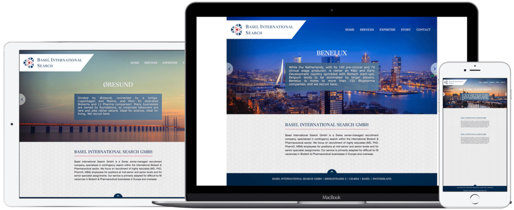 Basel International Search website