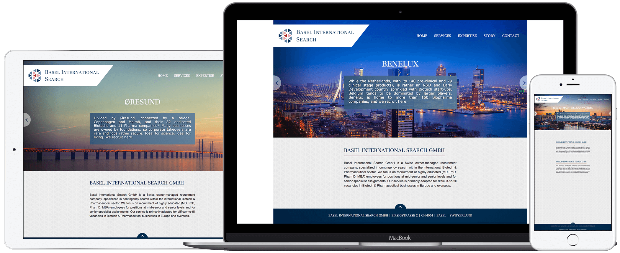 Basel International Search website designed by iWeb